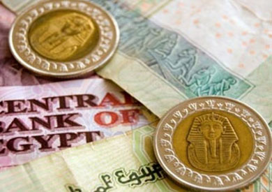 الجينه المصرى